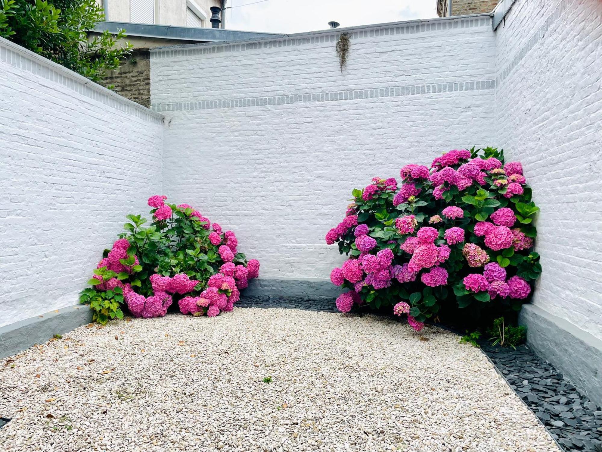 Jardins De Castille - 200M De La Gare - Home Cinema Amiens Eksteriør bilde